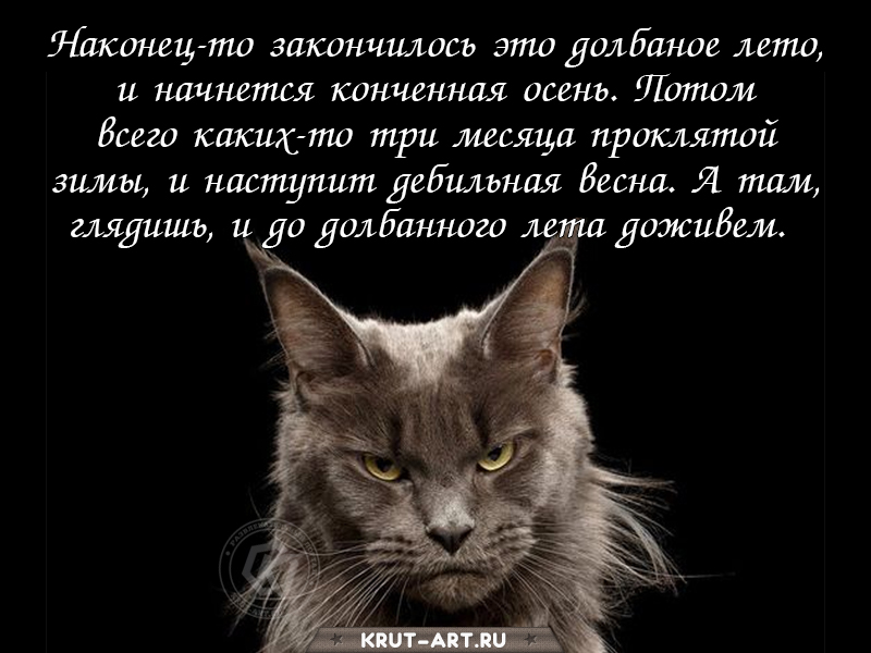 Картинка для тех, кто вечно недоволен погодой