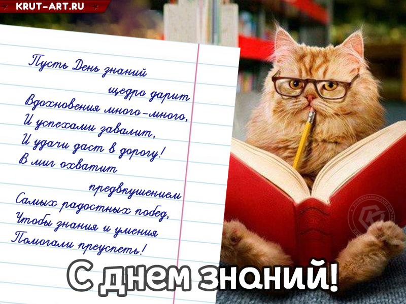 Пусть день знаний щедро дарит