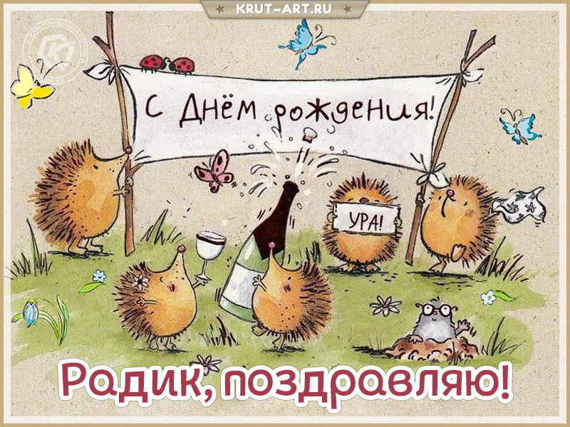 Открытка с днем рождения мужчине по имени Радик