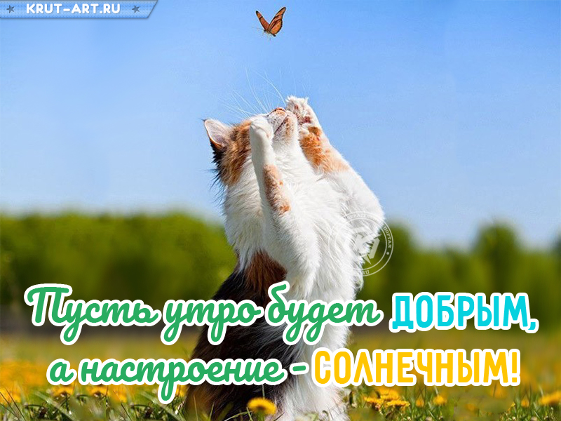 Пусть утро будет добрым картинка