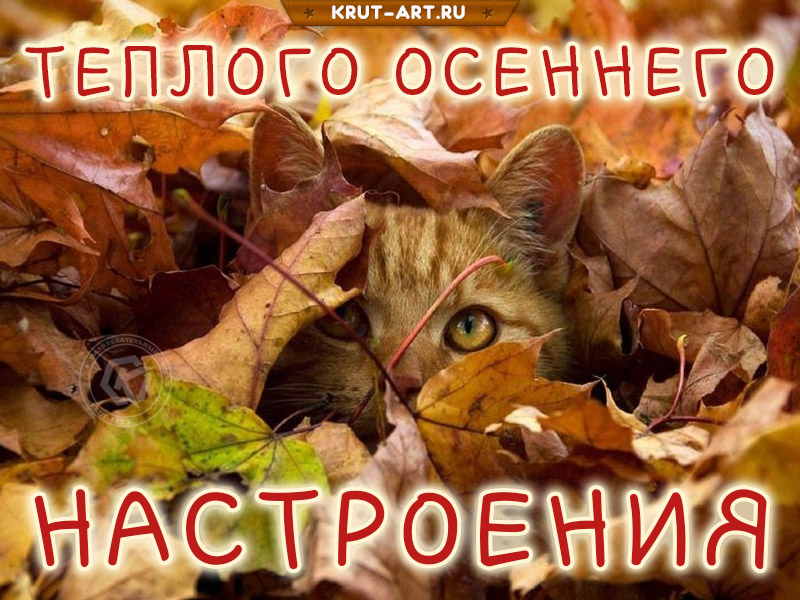Теплого осеннего настроения