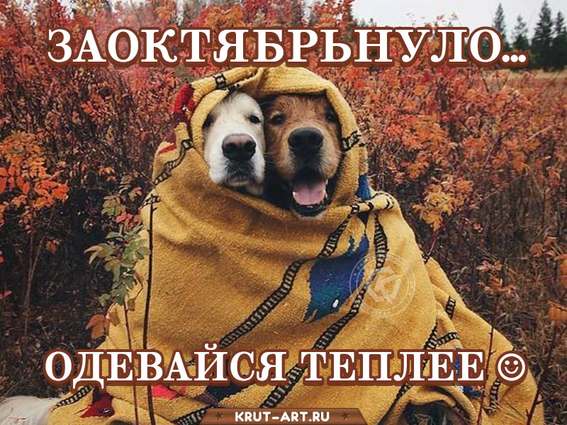Смешная картинка про октябрь