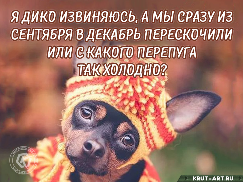 Шутка про холодную погоду