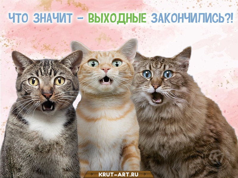 Смешная картинка: выходные закончились