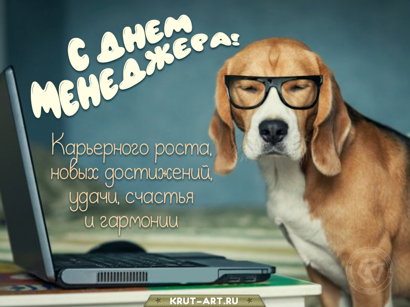 С днем менеджера картинка