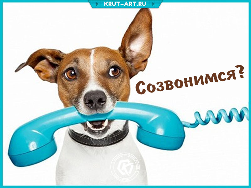 Созвонимся картинка