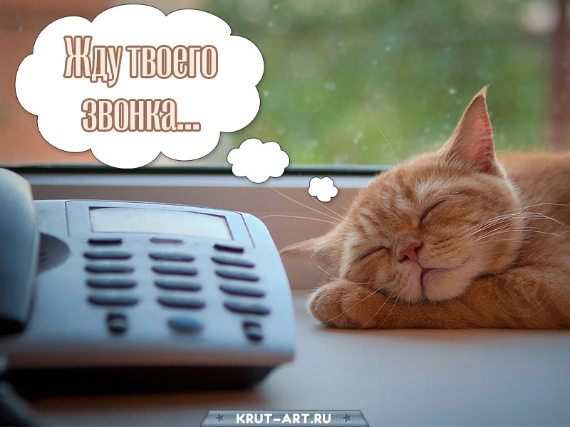 Жду твоего звонка картинка