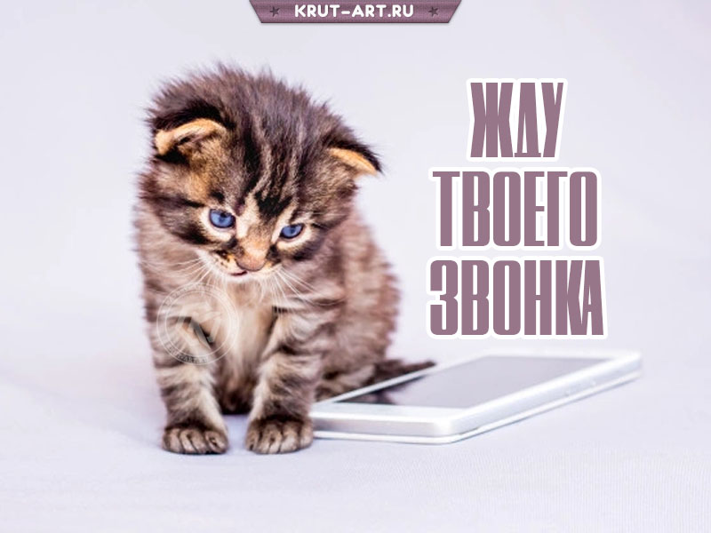 Жду твоего звонка прикольная картинка