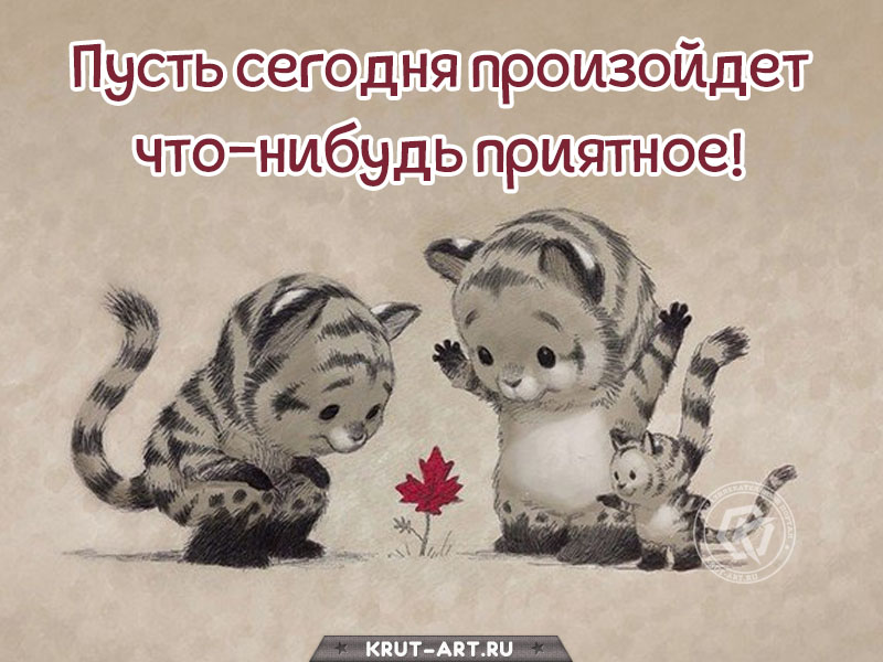 Приятное пожелание на каждый день