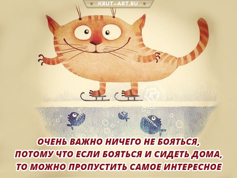 Очень важно ничего не бояться