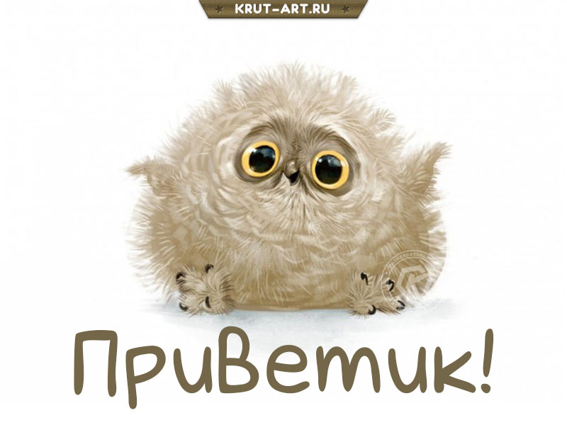 Приветик, забавная картинка