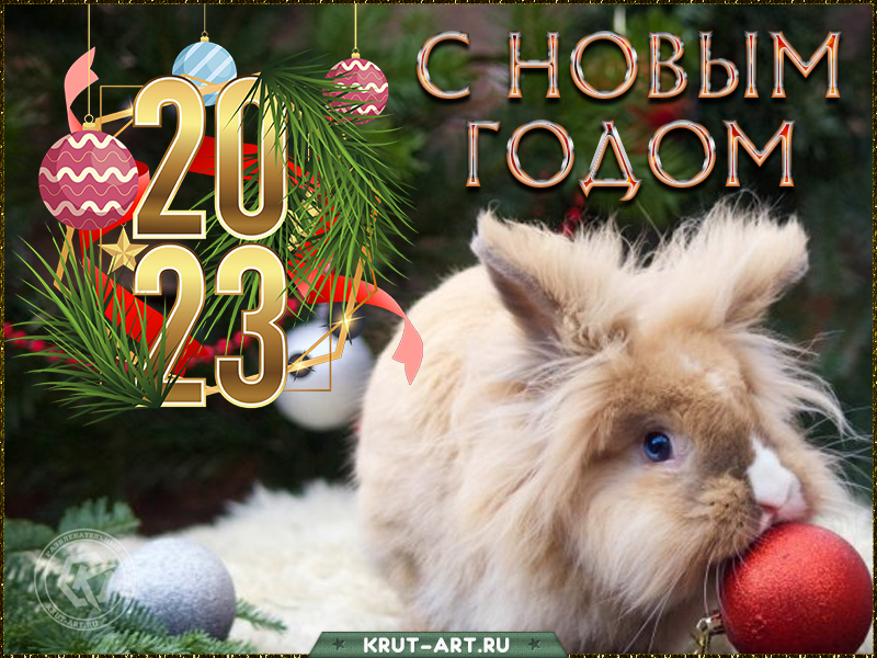 Новый год 2023 открытка