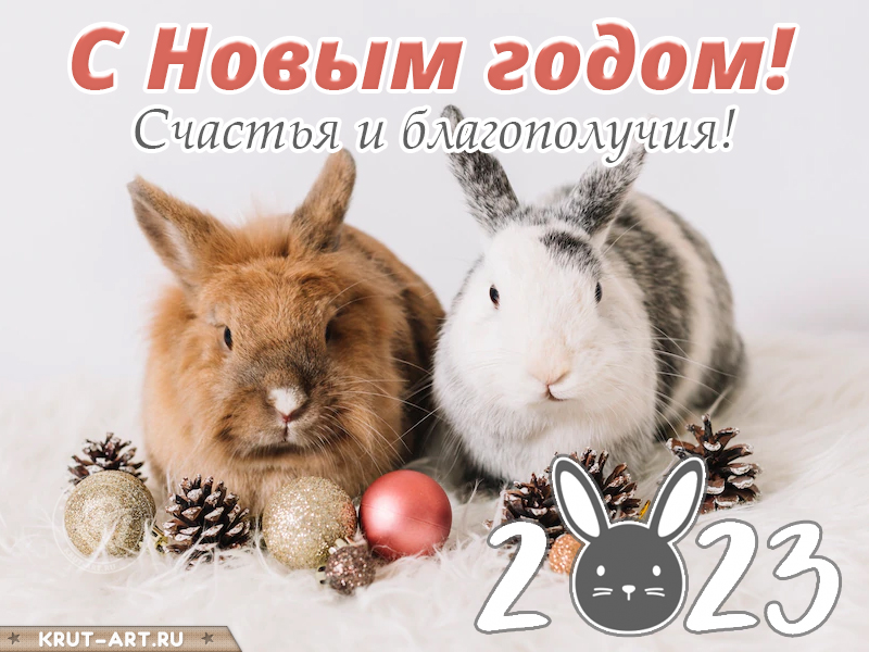 С Новым 2023 годом