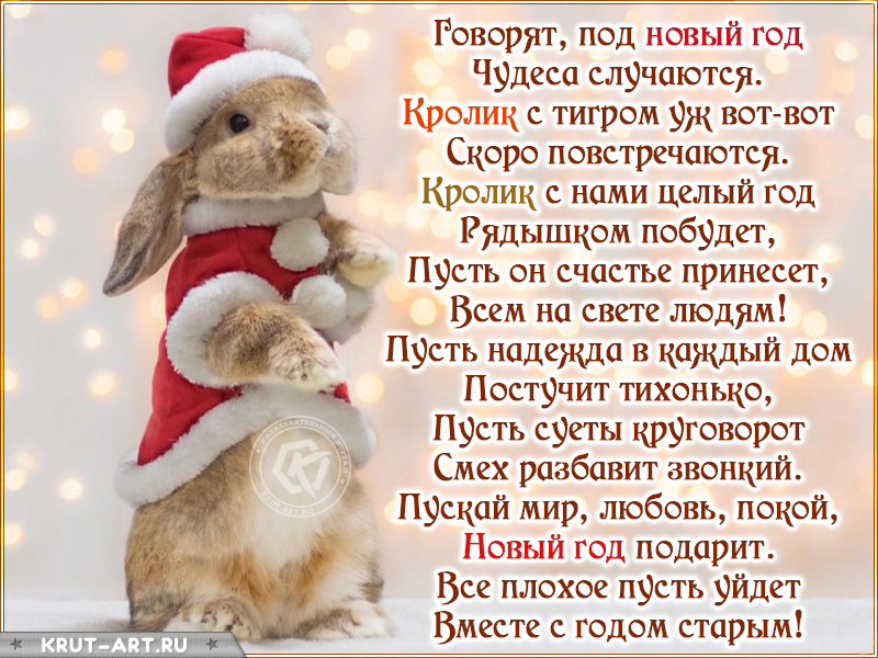 С новым годом кролика
