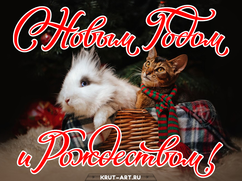 С Новым годом и Рождеством картинка