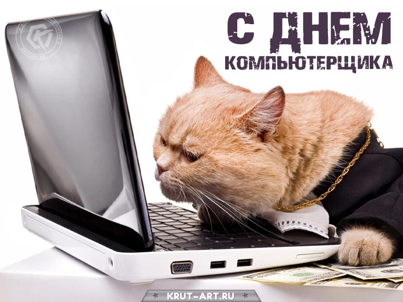 С днем компьютерщика открытка