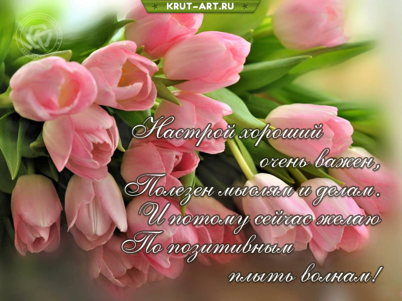 Тюльпаны для хорошего настроения