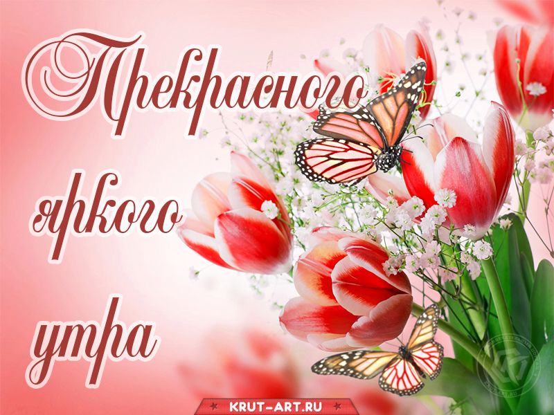 Прекрасного яркого утра
