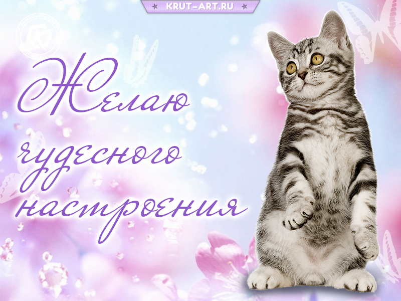 Пожелание чудесного настроения картинка