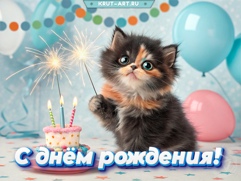 Мяу! С Днём Рождения! Мяу! С Днём Рождения!