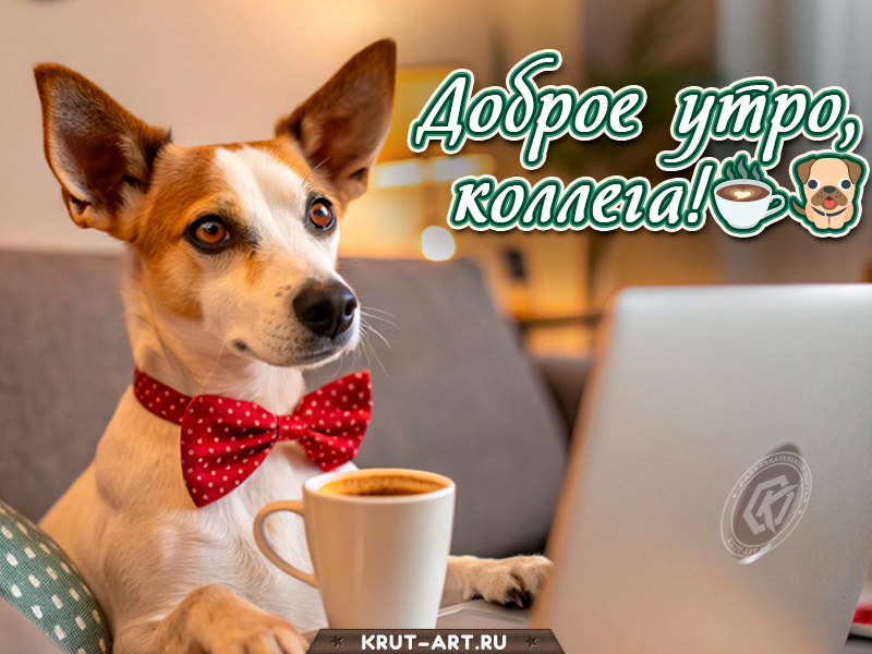 Доброе утро, коллега!