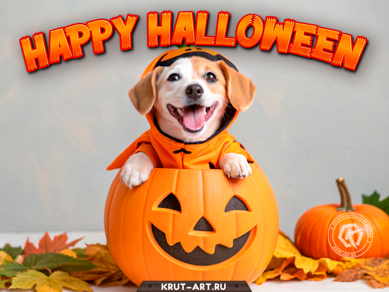 Happy Halloween с песиком!