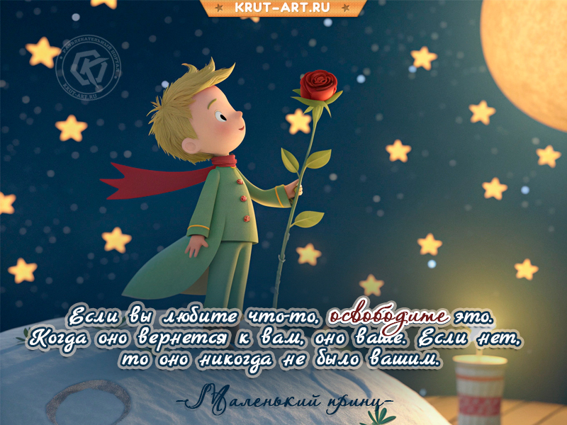 Маленький принц о любви!