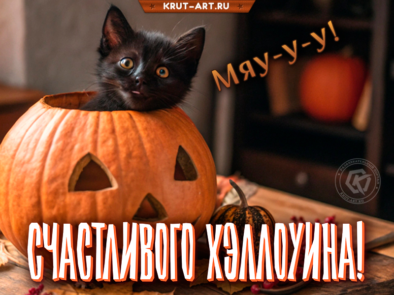 Мяу и Счастливого Хэллоуина!