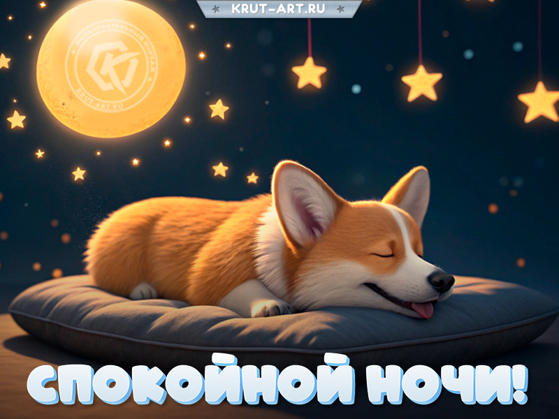 Сладких снов от пушистого друга!