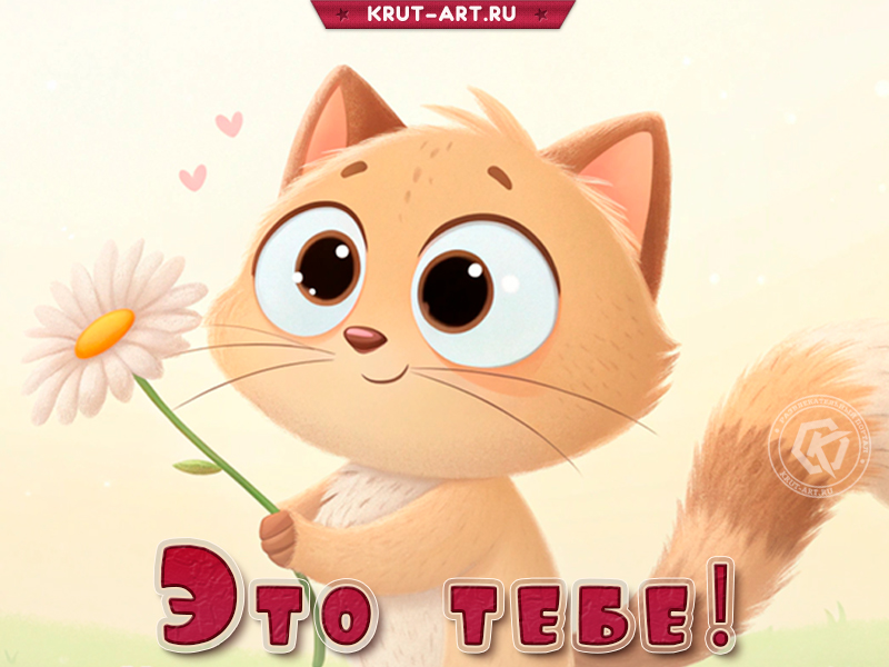 Цветочек от котика с любовью!