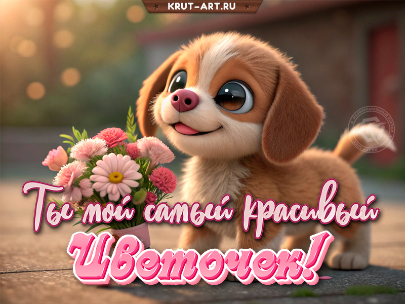Ты мой самый красивый цветочек!