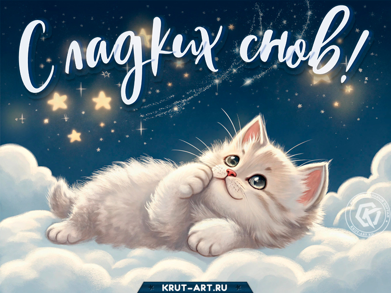 Мяу, сладких снов!