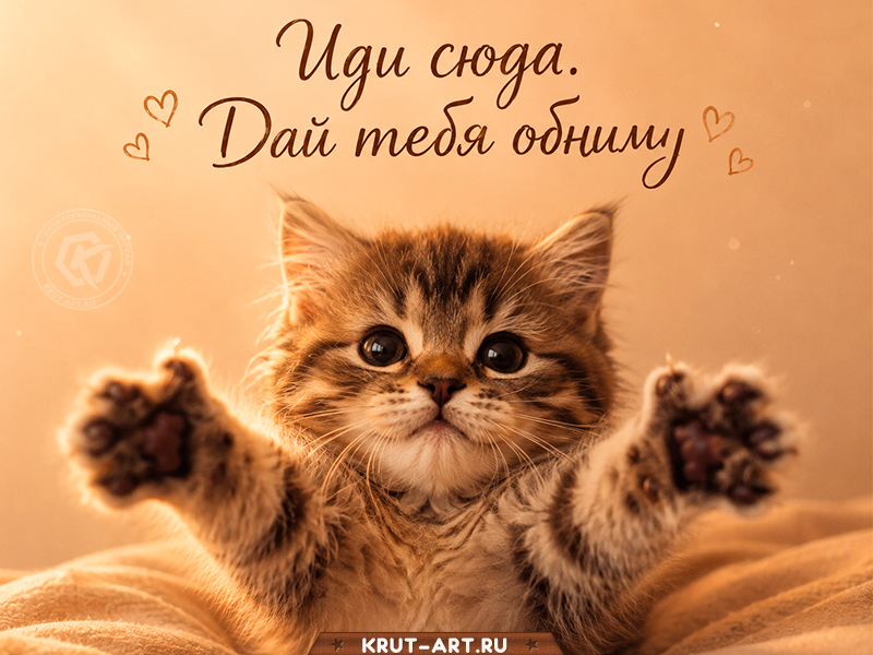Иди сюда, дай обниму! 🤗🐾